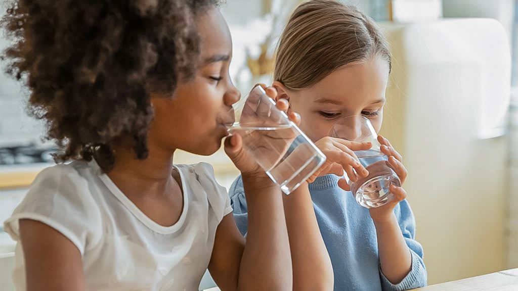 WaterChef vs Brita vs PUR: Which Water Filter Reigns Supreme for Clean, Great-Tasting Water?
