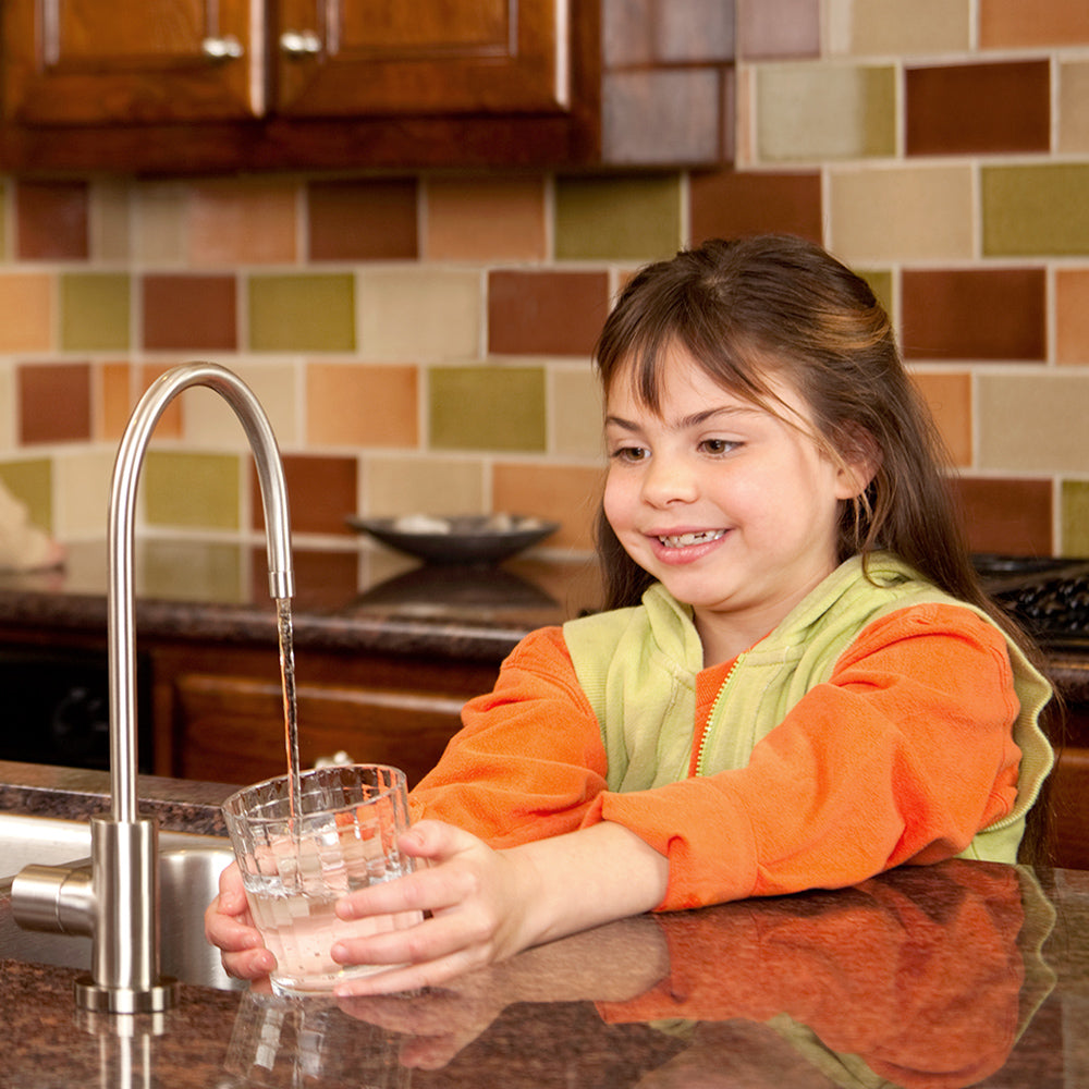 clean, refreshing water from your kitchen sink