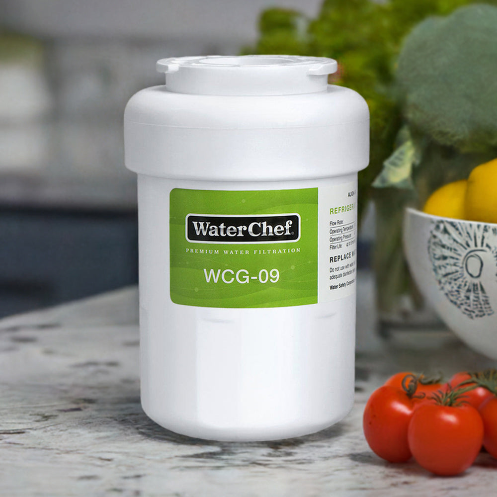 WaterChef WCG-09 refrigerator filter